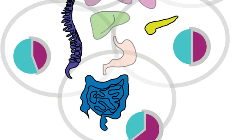 Autoimmunity and health:quantifying diagnosis