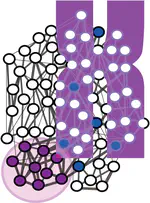 X-interactome